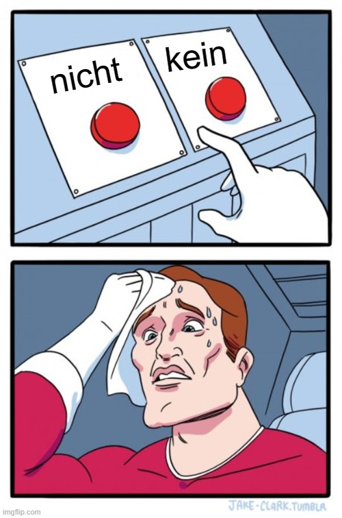diferenciar entre nicht y kein